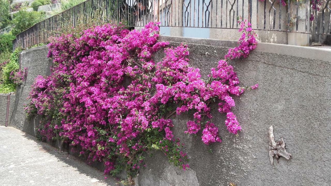 Un Gioiello Con Vista Mare Vila Moneglia Exterior foto